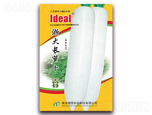 ����L�}��-�}���N��-�����r(n��ng)�I(y��)