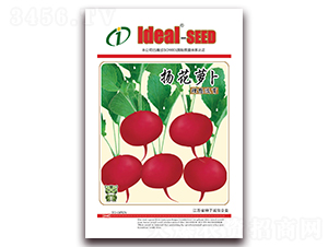 �P���}��-�}���N��-�����r(n��ng)�I(y��)