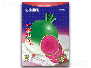 һ�w�t��-�}���N��-�����r(n��ng)�I(y��)