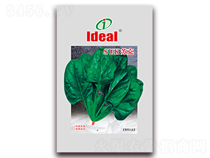 �K��-���˷N��-�����r(n��ng)�I(y��)