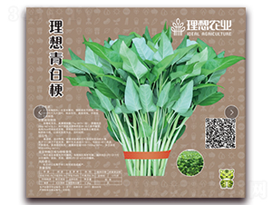 ������׹�-�����r(n��ng)�I(y��)