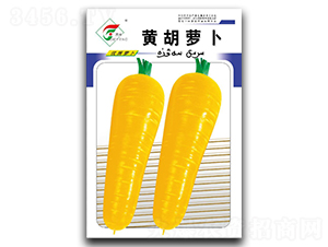 �S���}��-���}���N��-���r(n��ng)