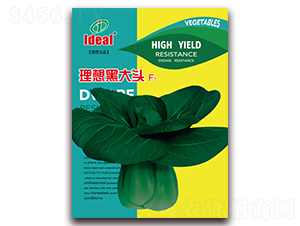 ����ڴ��^-С�ײ˷N��-�����r(n��ng)�I(y��)