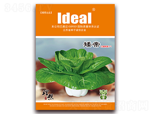 ����-С�ײ˷N��-�����r(n��ng)�I(y��)