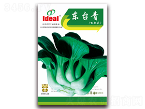 �|�_��-С�ײ˷N��-�����r(n��ng)�I(y��)