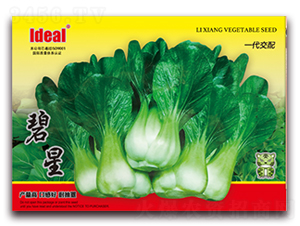 ����-С�ײ˷N��-�����r(n��ng)�I(y��)