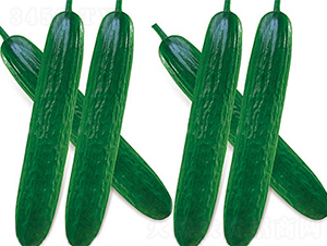 ��ˮ3̖-�S�ϷN��-���߷N��