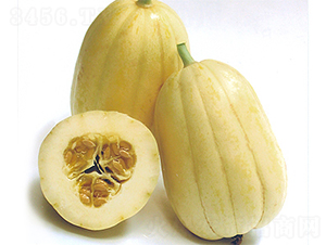 ��ѩ-��ϷN��-���߷N��