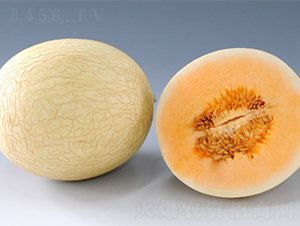 �K��4̖(h��o)-��ϷN��-���߷N��