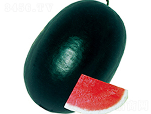 �����K��-���ϷN��-���߷N��