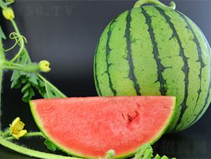 �K��(m��ng)6̖(h��o)-���ϷN��-���߷N��