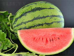 �K��(m��ng)5̖(h��o)-���ϷN��-���߷N��