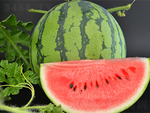 �K��(chu��ng)3̖(h��o)-���ϷN��-���߷N��