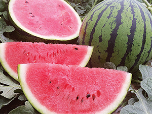 ��(qi��ng)��711-���ϷN��-���߷N��