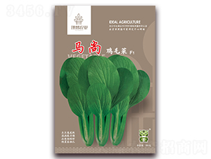 �R���uë��-�๣�˷N��-�����r(n��ng)�I(y��)