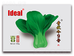 �����9̖(h��o)-�๣�˷N��-�����r(n��ng)�I(y��)