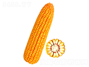 �F��30̖(h��o)-���׷N��-�F�зN�I(y��)