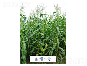 ���2̖(h��o)-���׷N��-���