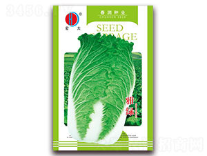 �žG-�ײ˷N��-�����N�I(y��)