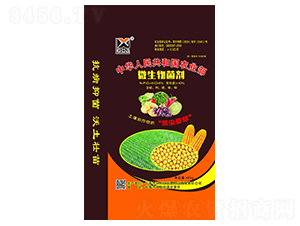 40kg΢�������-������-��ʷʘI(y��)