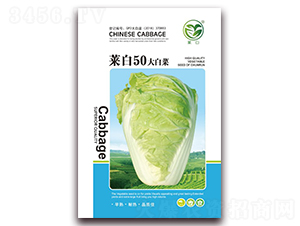 �˰�50��ײ�-�ײ˷N��-�����N�I(y��)