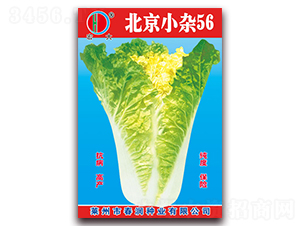 ����С�s56-�ײ˷N��-�����N�I(y��)