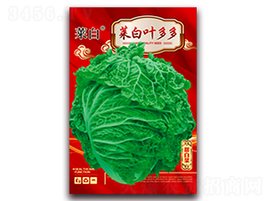 �˰��~���-�ײ˷N��-�����N�I(y��)