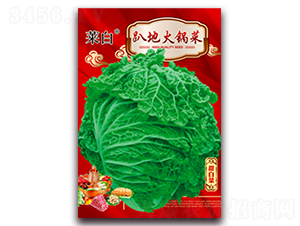 ſ�ػ�偲�-�ײ˷N��-�����N�I(y��)