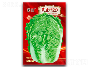 �˰�120-�ײ˷N��-�����N�I(y��)