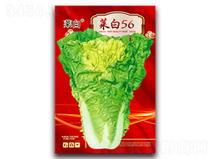 �˰�56-�ײ˷N��-�����N�I(y��)