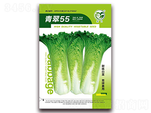 ���55-�ײ˷N��-�����N�I(y��)