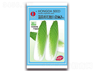 ��Ͳ���L���ײ�863-�ײ˷N��-�����N�I(y��)