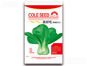 ��ó��๣��F1-�๣�˷N��-����(r��n)�N�I(y��)