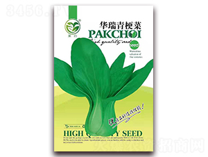 �A���๣��-�๣�˷N��-����(r��n)�N�I(y��)