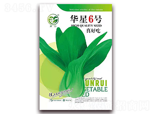 �A��6̖(h��o)��ó�-�๣�˷N��-����(r��n)�N�I(y��)