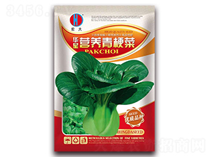 �A�ǠI(y��ng)�B(y��ng)�๣�ˣ��t��-�๣�˷N��-����(r��n)�N�I(y��)