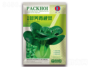 �A�ǠI�B(y��ng)�๣�ˣ��G��-�๣�˷N��-�����N�I(y��)