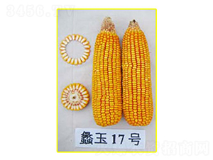 ���17̖-���׷N��-���