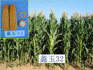 ���32̖-���׷N��-���