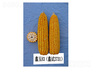 ���83-���׷N��-���