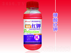 �Ǵ��t�-�������