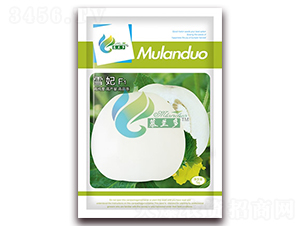 ѩ��-��ϷN��-Ľ�m��