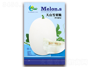 ��ɽѩ���-��ϷN��-Ľ�m��