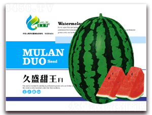 ��ʢ����-���ϷN��-Ľ�m��