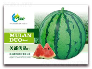 ������(y��u)Ʒ-���ϷN��-Ľ�m��