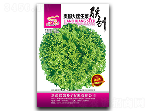 ����������-���˷N��-(li��n)��(chu��ng)