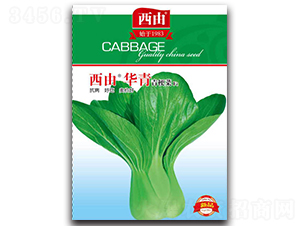 �����A��-�ײ˷N��-����