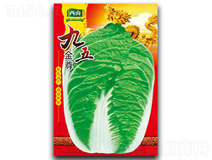 �������-�ײ˷N��-����