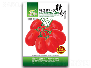 ���x87-5-���ѷN��-(li��n)��(chu��ng)