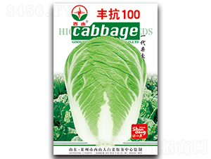 �S��100-�ײ˷N��-����